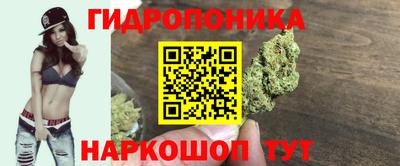трава Боровичи