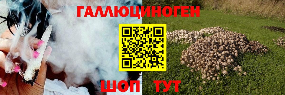 Волоколамск  Псилоцибиновые грибы Magic Shrooms  Галлюциногенные грибы MAGIC MUSHROOMS  Вход с VPN 